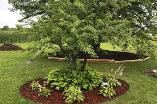 17672 County Road 14 NW, Big Lake, MN 55309 - Photo 47