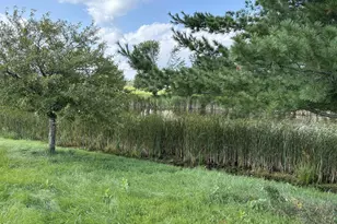 1977 Cattail Pl, New Richmond, WI 54017 - Photo 41