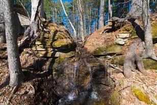 801 Pine Cone Trail, Marine on Saint Croix, MN 55047 - Photo 33