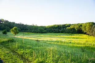 32592 Juniper Rd, Chatfield, MN 55923 - Photo 61