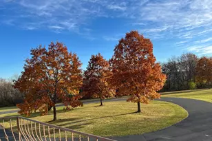 32592 Juniper Rd, Chatfield, MN 55923 - Photo 57