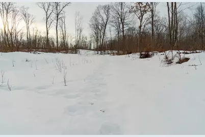 0 Fire Lane Road, Springbrook, WI 54875 - Photo 7