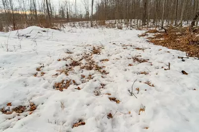 0 Fire Lane Road, Springbrook, WI 54875 - Photo 9