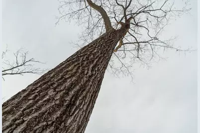 0 Fire Lane Road, Springbrook, WI 54875 - Photo 11