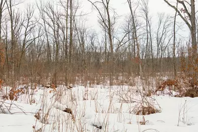 0 Fire Lane Road, Springbrook, WI 54875 - Photo 17