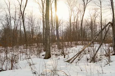 0 Fire Lane Road, Springbrook, WI 54875 - Photo 5