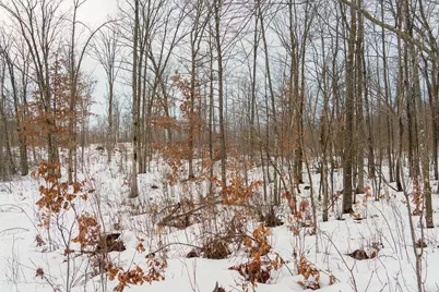 0 Fire Lane Road, Springbrook, WI 54875 - Photo 25