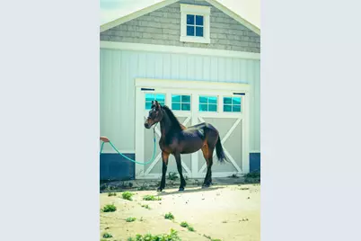 15151 304th Street, Spring Valley, MN 55975 - Photo 61