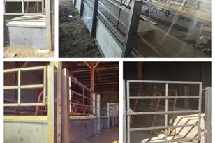 15151 304th Street, Spring Valley, MN 55975 - Photo 59