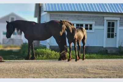 15151 304th Street, Spring Valley, MN 55975 - Photo 67