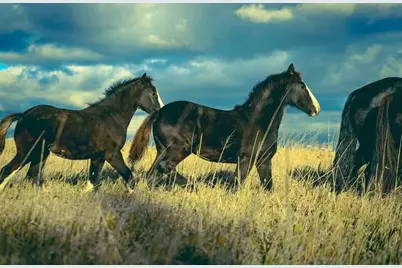 15151 304th Street, Spring Valley, MN 55975 - Photo 63