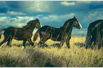 15151 304th Street, Spring Valley, MN 55975 - Photo 63