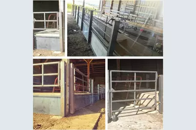 15151 304th Street, Spring Valley, MN 55975 - Photo 59