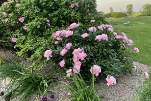 28297 St Croix Rd, Pine City, MN 55063 - Photo 55