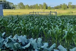 28297 St Croix Rd, Pine City, MN 55063 - Photo 63