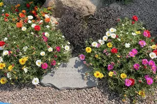 28297 St Croix Rd, Pine City, MN 55063 - Photo 51