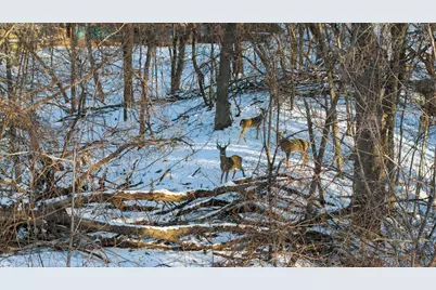 6175 Heather Place NE, Fridley, MN 55432 - Photo 79