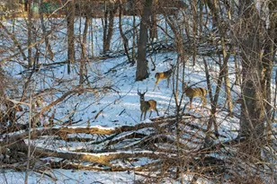 6175 Heather Pl NE, Fridley, MN 55432 - Photo 79
