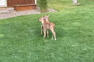 29609 Delaware Trl, Breezy Point, MN 56472 - Photo 49