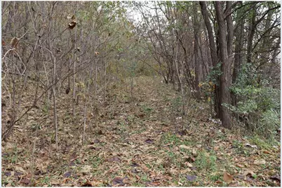 X South Hill Street, Fountain City, WI 54629 - Photo 7