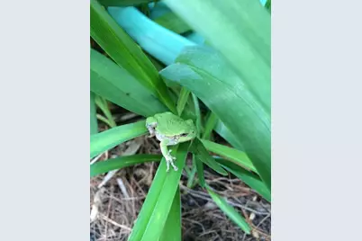 1892 Pascal Street, Falcon Heights, MN 55113 - Photo 49