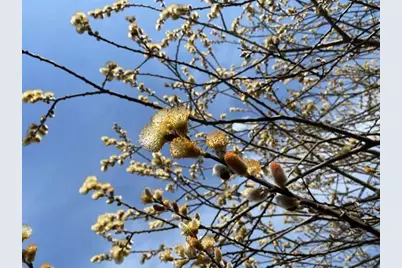 1892 Pascal Street, Falcon Heights, MN 55113 - Photo 51