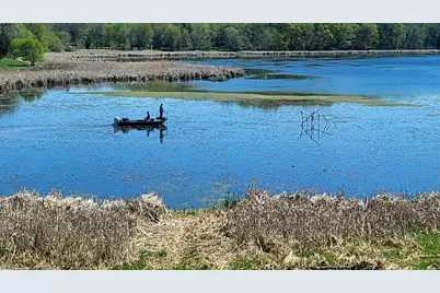 30339 Orchard Court, Center City, MN 55012 - Photo 11