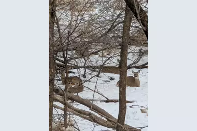 16420 Lake Ridge Drive, Maple Grove, MN 55311 - Photo 35