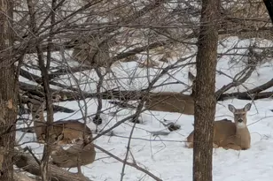 16420 Lake Ridge Dr, Maple Grove, MN 55311 - Photo 35