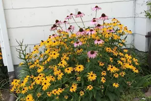 1769 Ross Ave, Saint Paul, MN 55106 - Photo 29