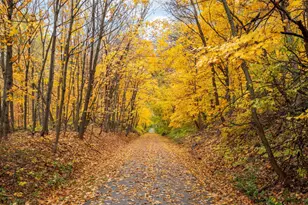 11165 66th St, Waconia, MN 55387 - Photo 69