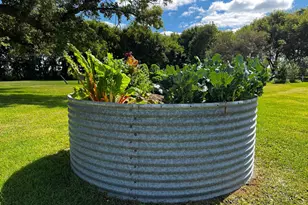 8020 80th St NW, Milan, MN 56262 - Photo 67