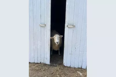 8020 80th Street NW, Milan, MN 56262 - Photo 49