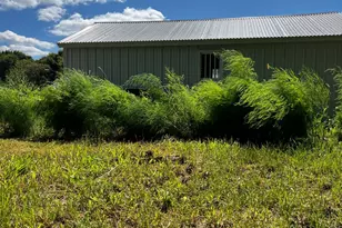 8020 80th St NW, Milan, MN 56262 - Photo 45