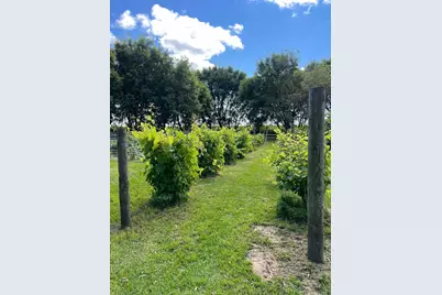 8020 80th Street NW, Milan, MN 56262 - Photo 63