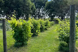 8020 80th St NW, Milan, MN 56262 - Photo 63