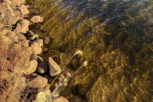 37595 Bonnie Lakes Rd, Crosslake, MN 56442 - Photo 59