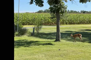 63627 170th Ave, Kellogg, MN 55945 - Photo 7