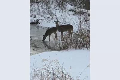 63627 170th Avenue, Kellogg, MN 55945 - Photo 5