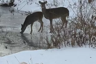 63627 170th Ave, Kellogg, MN 55945 - Photo 5