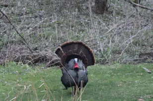 63627 170th Ave, Kellogg, MN 55945 - Photo 57