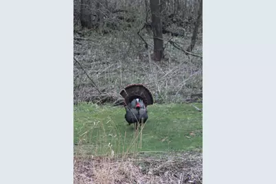 63627 170th Avenue, Kellogg, MN 55945 - Photo 3