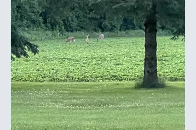 63627 170th Avenue, Kellogg, MN 55945 - Photo 69