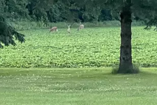 63627 170th Ave, Kellogg, MN 55945 - Photo 69