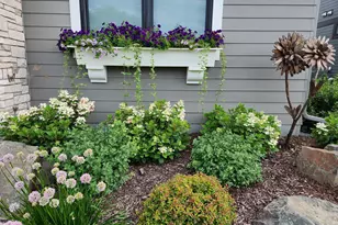 11472 Sunflower Ln N, Lake Elmo, MN 55042 - Photo 3