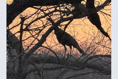 Tbd (Parcel 3) White Bridge Road NE, Rochester, MN 55906 - Photo 15