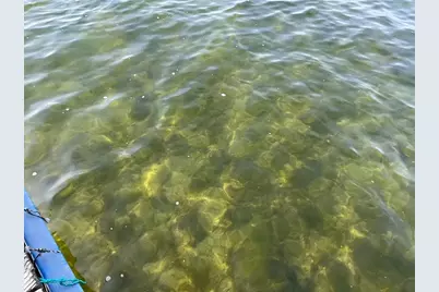 11198 Wallen Road NW, Brandon, MN 56315 - Photo 27