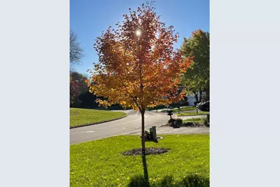 18719 Clear View Drive, Minnetonka, MN 55345 - Photo 77