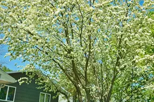 915 Hemlock Ct, Breckenridge, MN 56520 - Photo 79