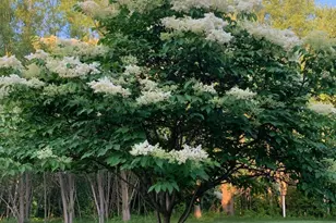 925 Sadies Ln, Hudson, WI 54016 - Photo 17